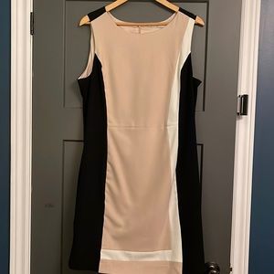 Dex Sheath dress size XL sleeveless lined